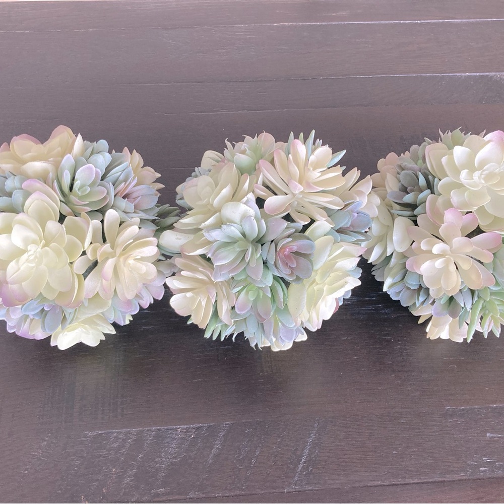 3 Z Gallerie succulent plant spheres
